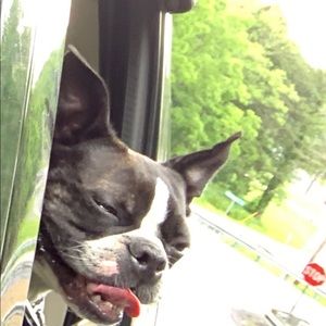 Meet your Posher, Jake